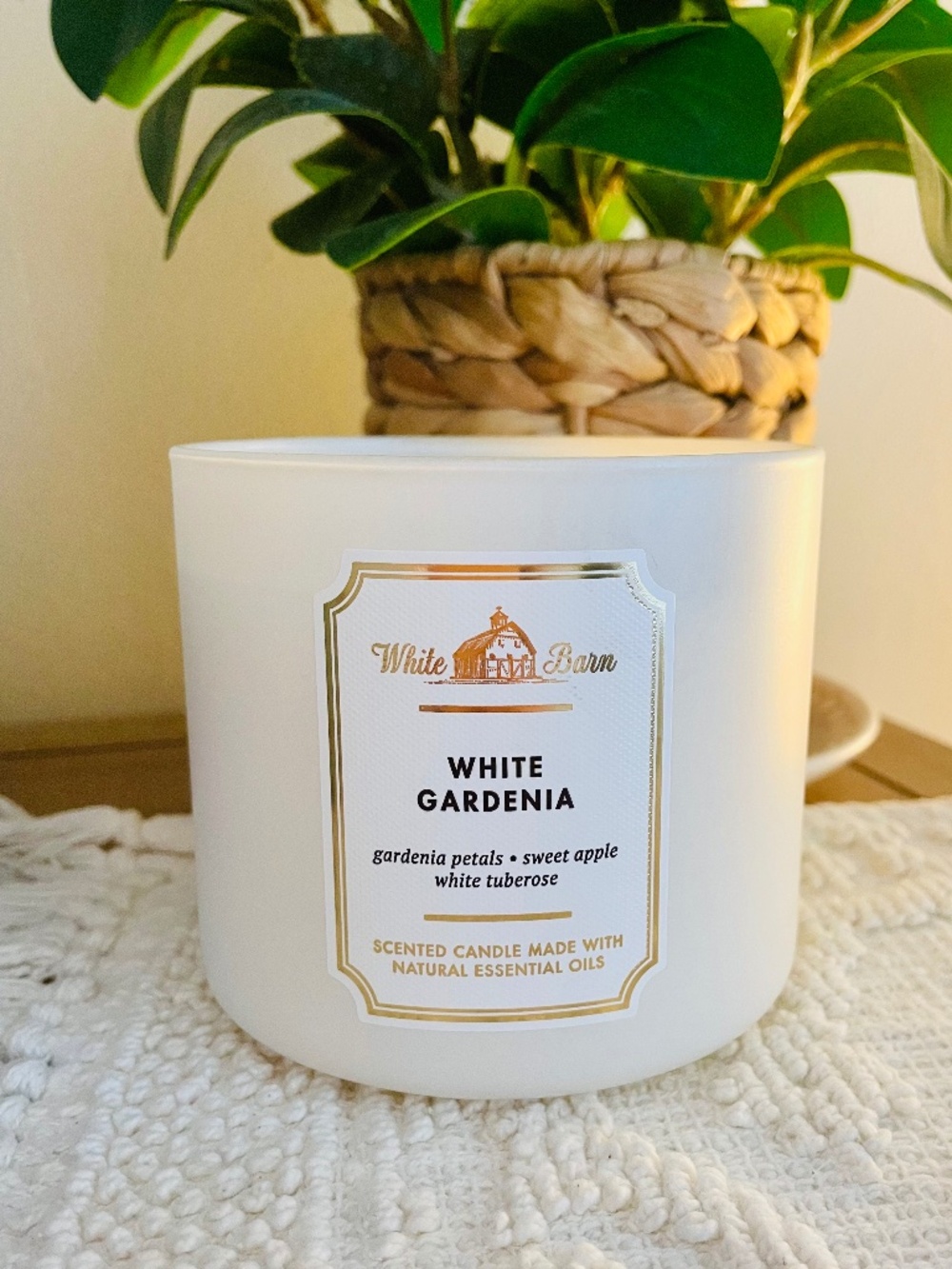 White Barn White Gardenia 3-Wick Candle